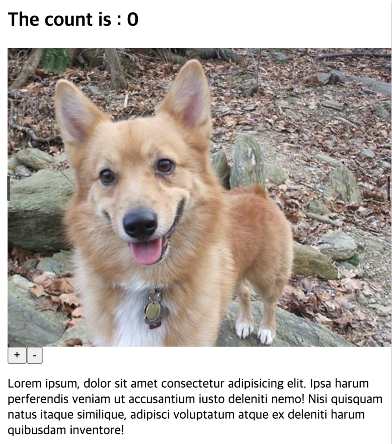 The final page showing a dog photo